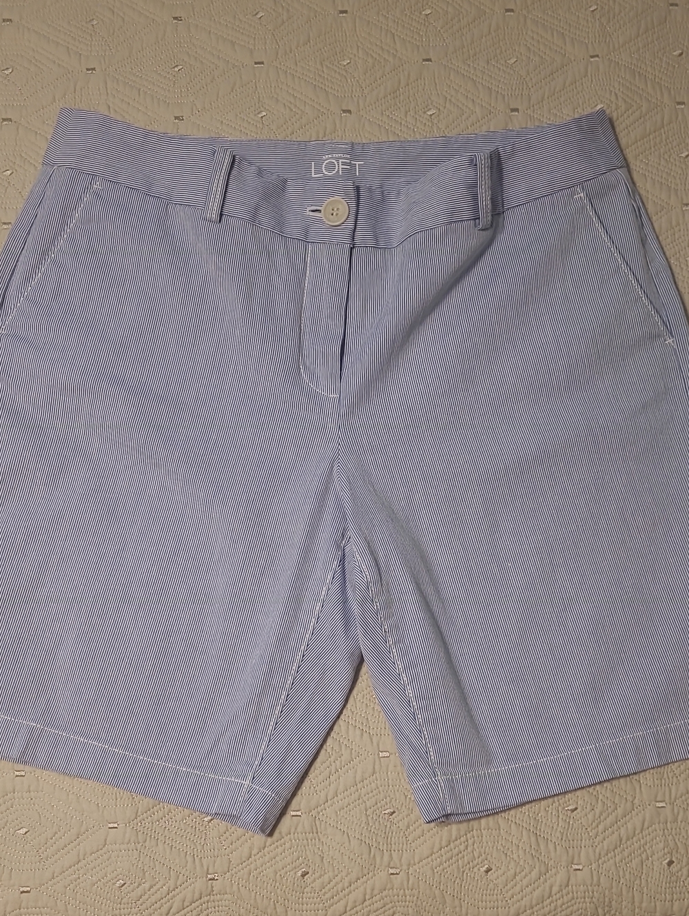 LOFT Light Blue Pinstripe Flat Front Shorts Size 10